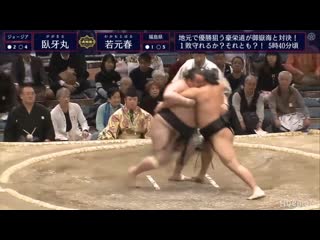 Gagamaru vs wakamotoharu haru 2019, juryo day 7