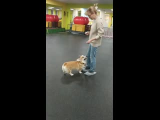 Леся кувырок