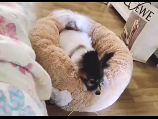 [200731] taeyong bubble