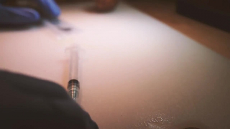 Avocado in vitro fertilization