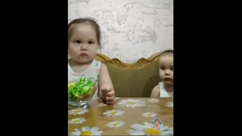 Смехов | очень жесткое испытание 🤣🤣