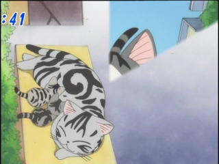 Chis sweet home [52 of 104] ancord