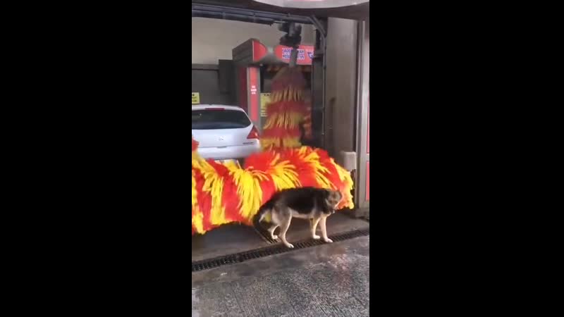 Вот это удовольствие получает, какие же молодые умные 😛