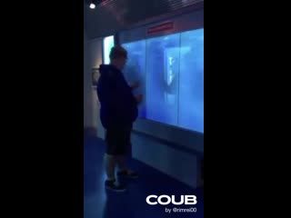 Guy touching aquariums glass