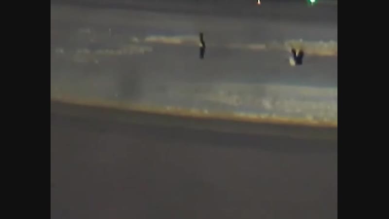 В домодедово сотрудники играют в снежки у взлетки