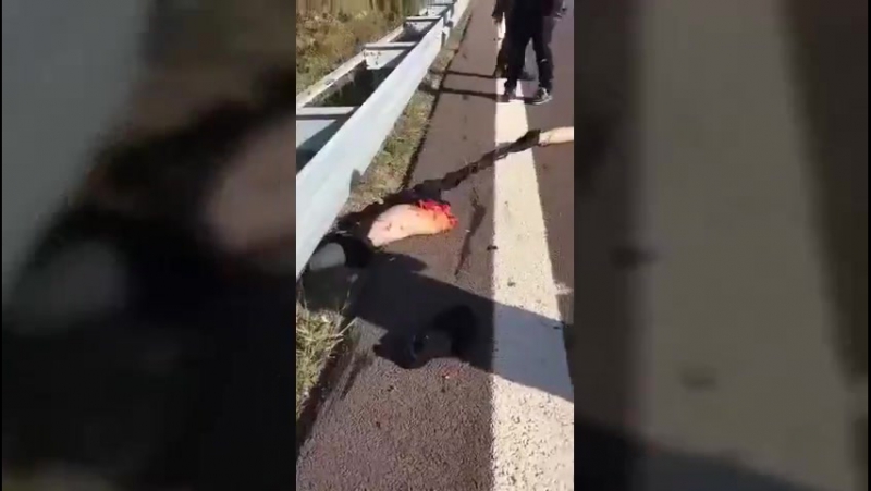 Мото авария 300км/ч разорвало тело