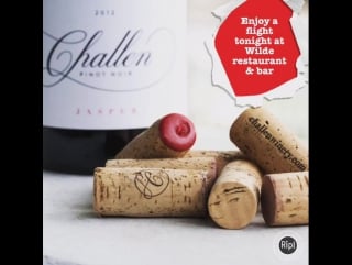 Challen cates on instagram