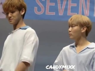 Mingyu and seungkwan