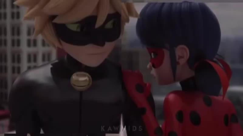 Miraculous new york ⊱ vine ⊰ marinette dupain cheng / ladybug x adrien agreste / chat noir