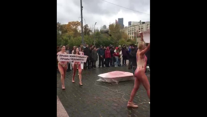 Защиту porn video – Акция вегетарианцев в защиту молодые