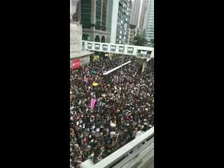 Driving by thousands of protesters on the streets of hong kong today (estimated 2m total)