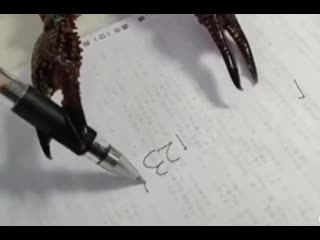 Краб намджуна после того, как провёл время со своим отцом с айкью 148