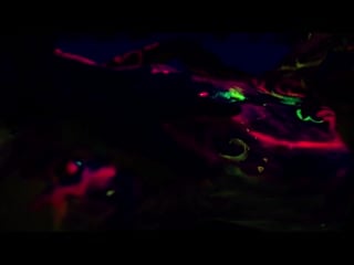 Alex neon, неон ( сексуальная, приват ню, эротика, пошлая модель, фотограф nude, клип, sexy )