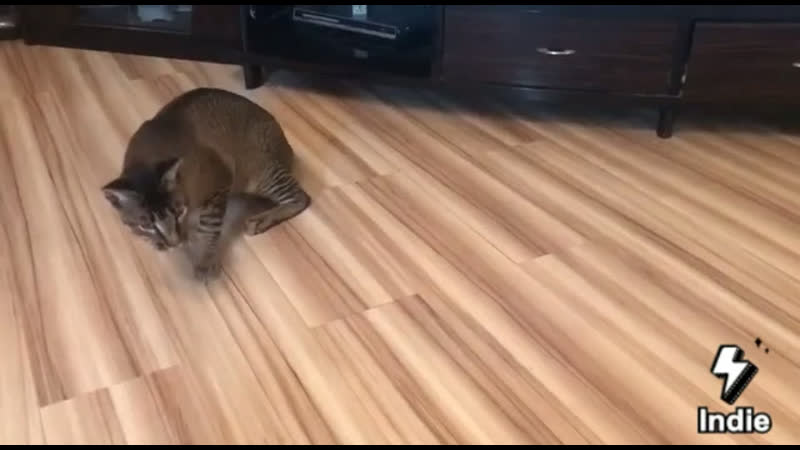 Каракет ф2 эмерсон