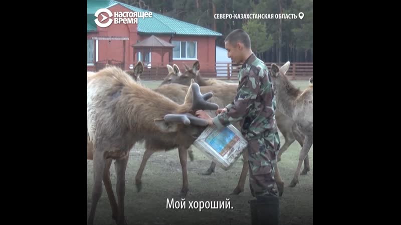 Самый молодой егерь в заповеднике