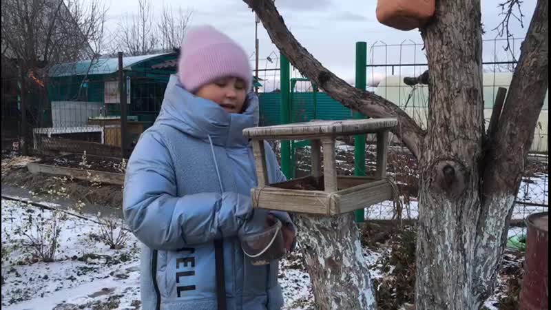 Я кормлю птичек