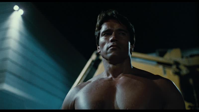Arnold schwarzenegger in the terminator