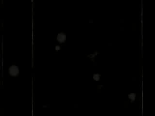 Johnny rabb and paul (ten finger orchestry)