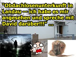 „obdachlosenunterkunft in landau habe es mir angesehen und spreche mit david darüber!!!“