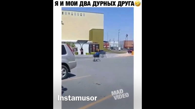 Instamusor я и моих два дурных друга d