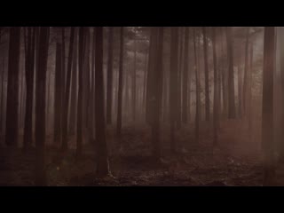 Vincent niclo esperando (bande annonce) (720p) mp4