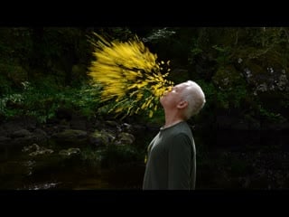 Thomas riedelsheimer | leaning into the wind andy goldsworthy