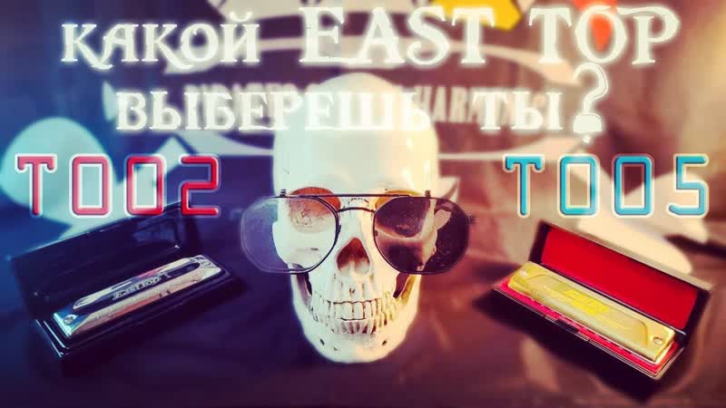 Обзор губных гармоник east top t002 и east top t005
