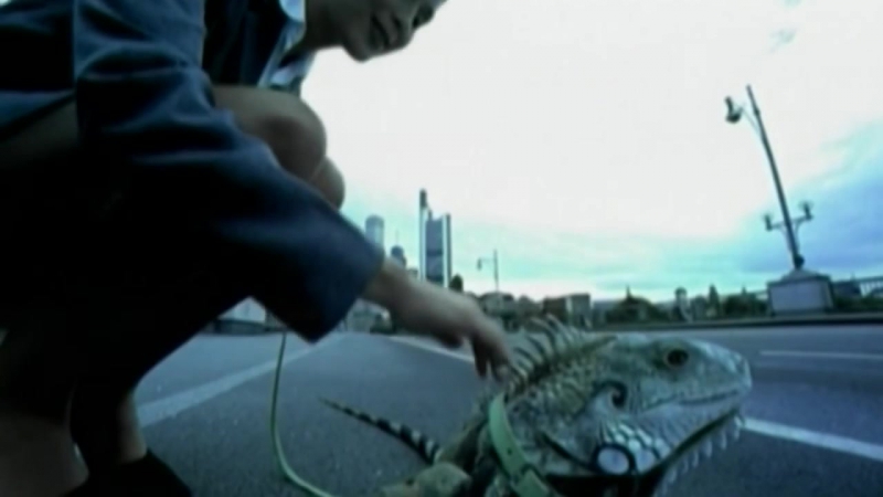 Mauro picotto iguana (1999) [720р]