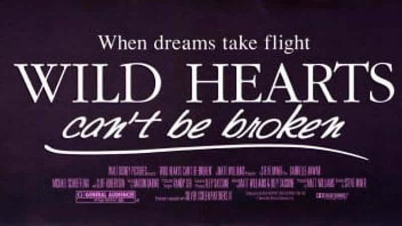 Храбрых сердцем не сломить / отважные сердца не разбиваются / wild hearts can't be broken (1991)