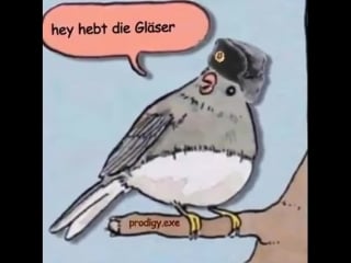 Annoyed bird moskau amerika fuck yea