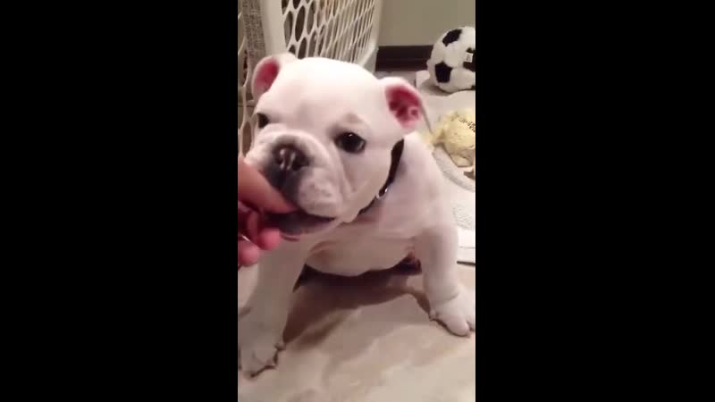 Подрос маленько 😂