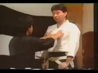 Yagyu shingan ryu jujutsu (koryu budo bujutsu martial arts samurai) part 2 [low, 360p]