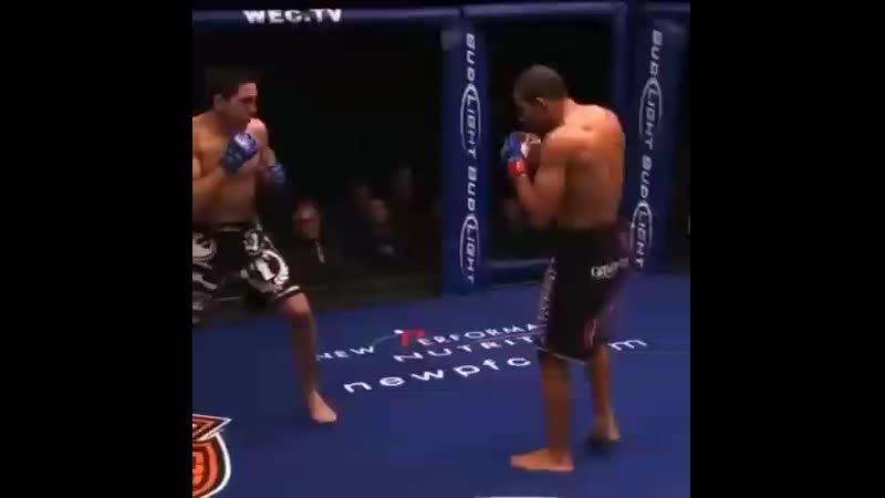 Жозе альдо в инстаграмм