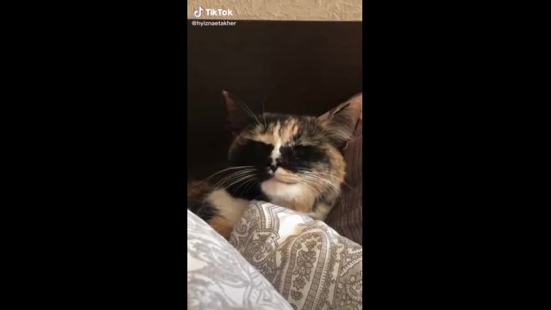 Качает (господь господь)