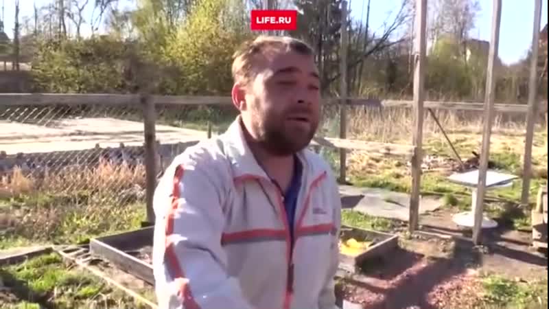Сдох максим и х й с ним (720p) mp4