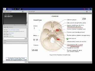 59th lecture kaplan step 1 ca gross anatomy part 4 white august 16, 2015