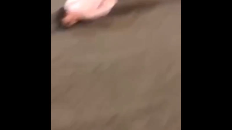 Что там у пиндосов их нравы 18+