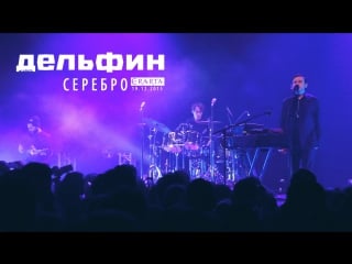 Дельфин | dolphin серебро (акустика live)