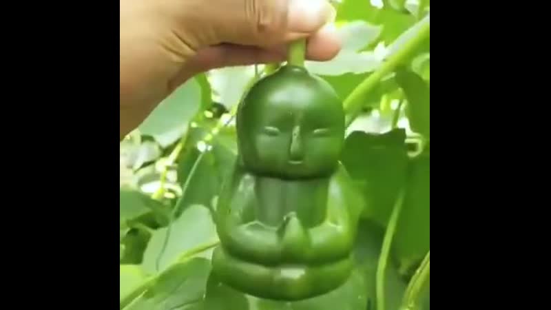 Некогда объяснять