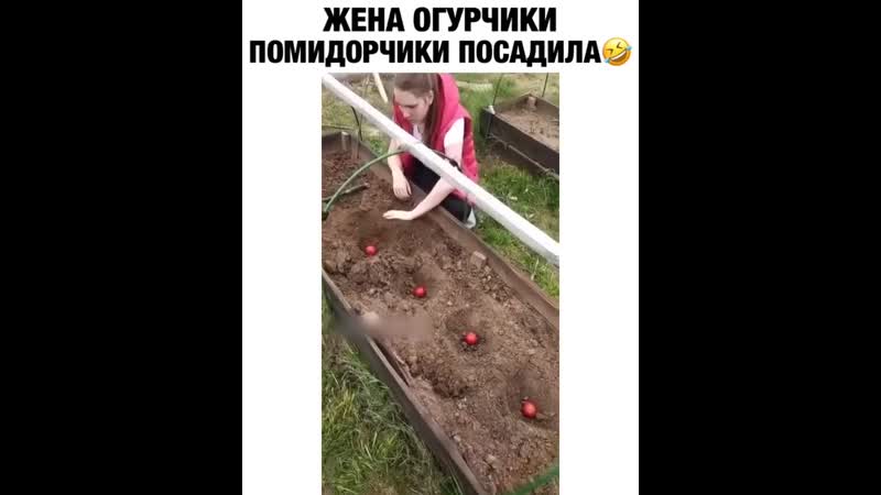 Жена огурчики посадила