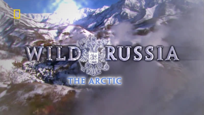 National geographic дикая природа россии арктика