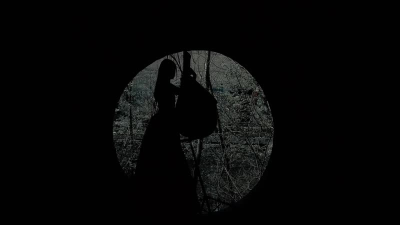 Рамштайн на бандуре и баяне (vhs video)