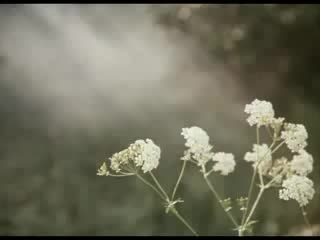 Песня о разлуке (из к/ф "гардемарины вперед!")