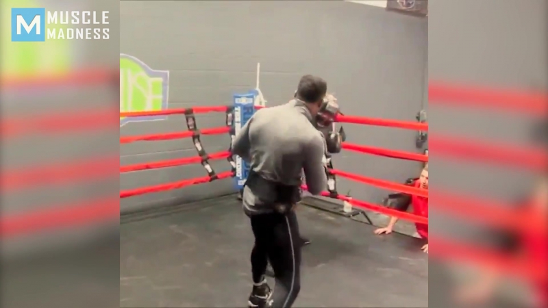 Yahu porn video – Yahu rock blackwell boxing training highlights muscle madness