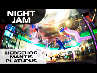 Hedgehog, mantis, platupus in atmodance academy night jam (leo & lukacs & pali & amy)