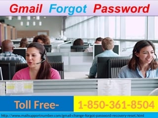 Looking for geek? try gmail forgot password 1 850 361 8504