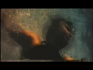 La spirale del vizio drown (italy 1968)