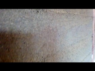 Vid 20170830 082539