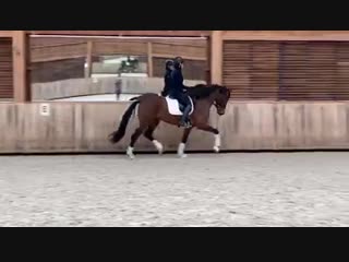 Kayden and jessica michel botton