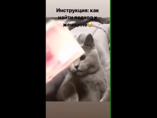 Video by guzel vildanova